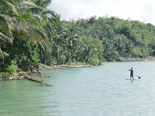 Asia > Philipines > Panay Island > Ibajay Jungle River